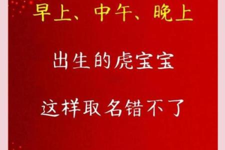 下午出生的属虎男孩应该起什么名，宜用什么字姓名