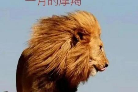 与摩羯座最有默契的星座 摩羯座最谈得来的星座