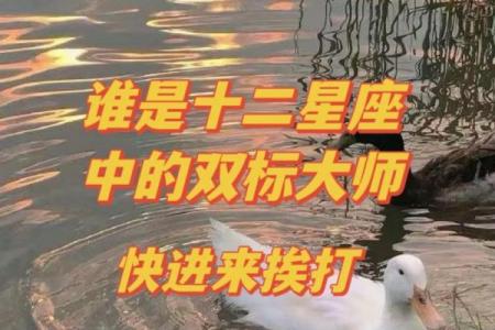 盘点12星男的双标排行恋爱谨慎
