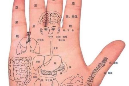看手纹测命运图解 手相学图解算命大全