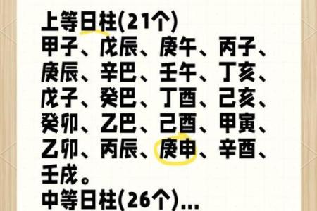 八字日柱壬子的命理详批