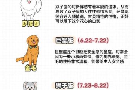 斯凯星座运势大全