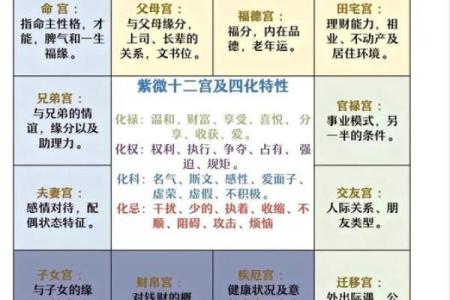 紫薇斗数文曲属性