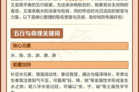 下午四点出生的属狗男孩怎么取名，用什么字好姓名