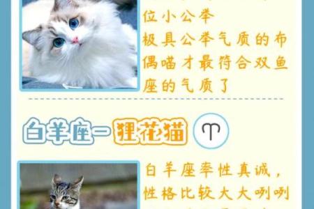 12星座适合当什么官的
