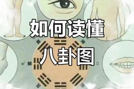 【解密象数派八字】-从容洞悉你的一生！