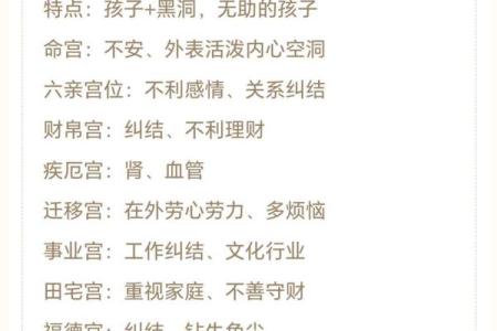 紫薇斗数梅花易数