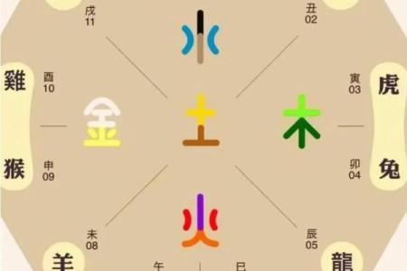 生肖鼠与十二生肖配对情况