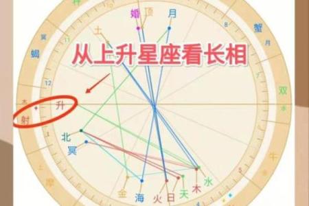 占星知识普及 - About 上升星座