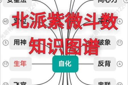 紫微斗数紫薇指什么