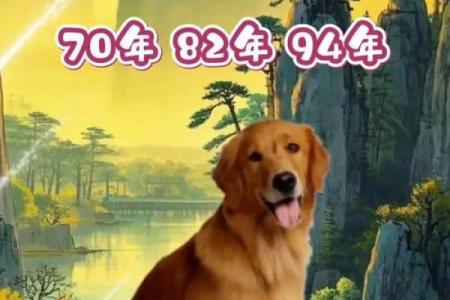 晚上十点出生的属狗男孩怎么取名，用什么字姓名