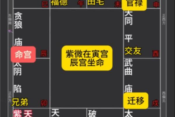 紫微斗数之父母宫在辰宫 ，是什么意思？