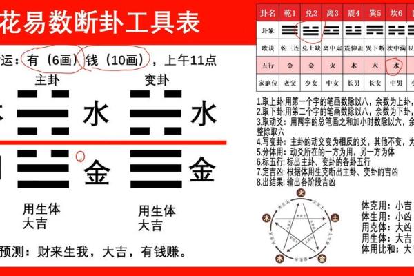 梅花易数与八字命理的区别