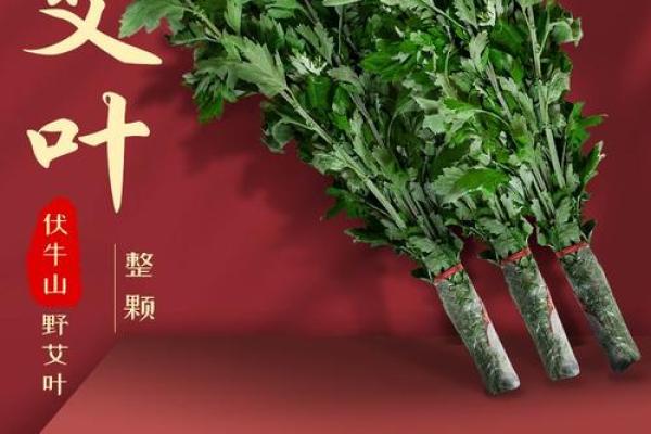 艾叶干了还能挂门上吗还有风水效果吗