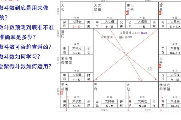 紫微斗数实战 紫微斗数实战案例？