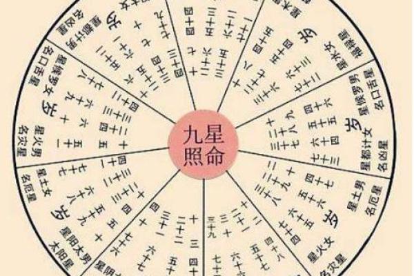 紫薇斗数是按虚岁