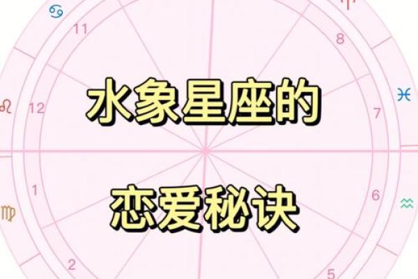 水象星座是什么意思 水象星座的特点和性格