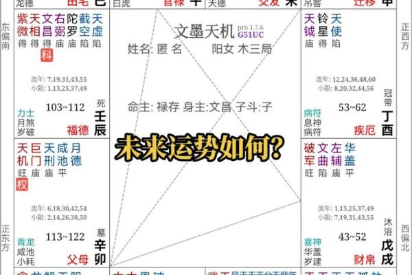怎样研究紫薇斗数