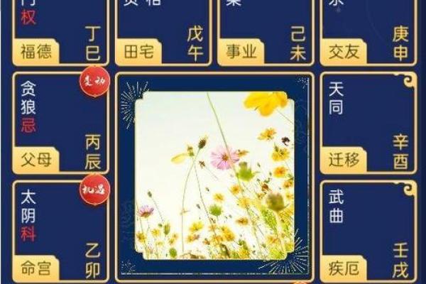 怎样研究紫薇斗数