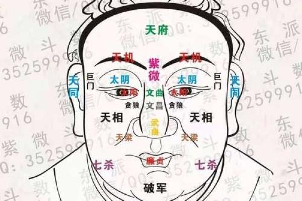 紫薇斗数天贵人