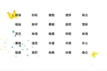 2019年5月9号寅时出生的男孩应该起什么样的名字姓名
