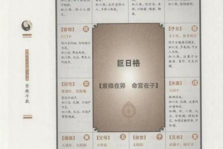紫薇斗数网页