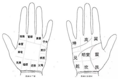 女生手相看命运，解析八字大全