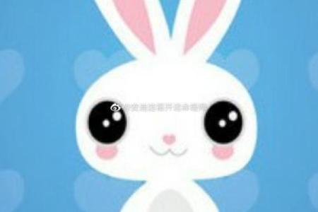 八字算命_属兔的人如何改运？