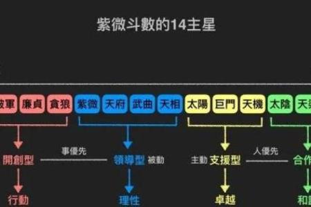 什么样的紫薇斗数贵气