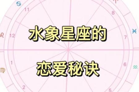 水象星座是什么意思 水象星座的特点和性格