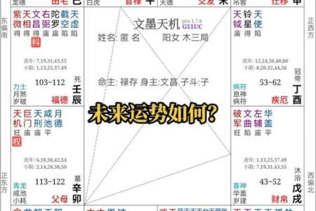 怎样研究紫薇斗数
