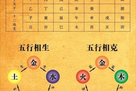 八字精华