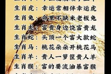 生肖属鸡的最佳求财方位 桃花方位