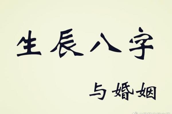 论八字下载