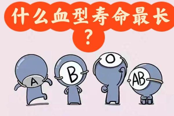 血型占比排行 哪种血型比例最高