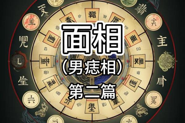 风水算命有什么区别
