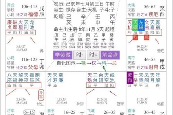 紫微斗数之财帛宫与诸星，天机星在财帛宫是什么意思？