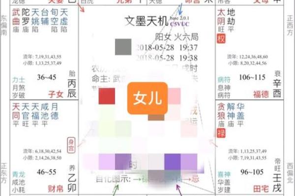 唐艺尹老师紫薇斗数算田宅宫：廉贞星坐守十二宫位置分析田产运