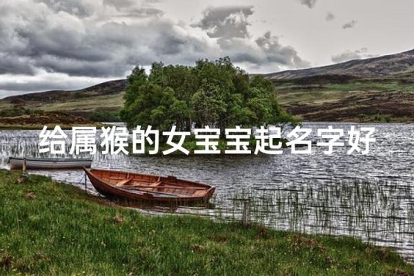 4月份出生的属猴男孩如何取名-姓名