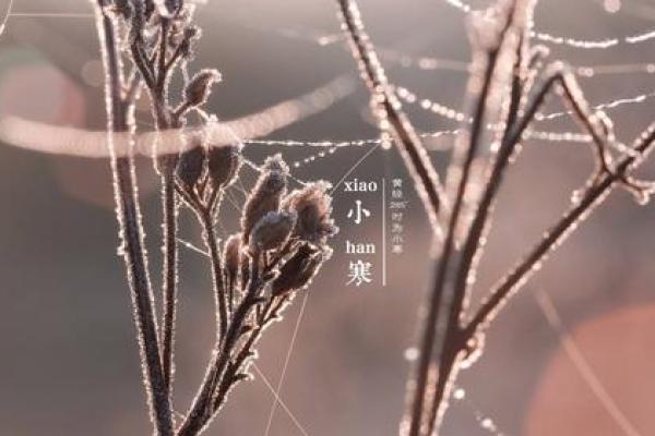 2020年小寒出生带“寒”字的男宝宝100分名字姓名