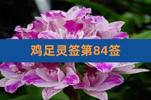 鸡足灵签第九十一签