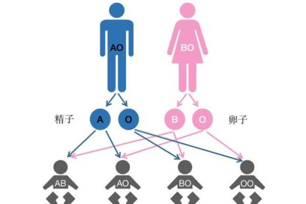 血型的搭配与夫妻关系