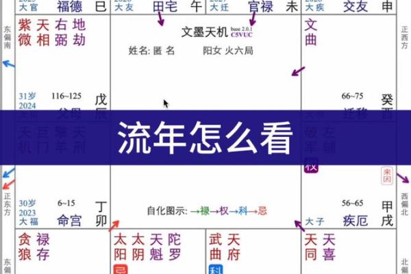 东有小山紫薇斗数7