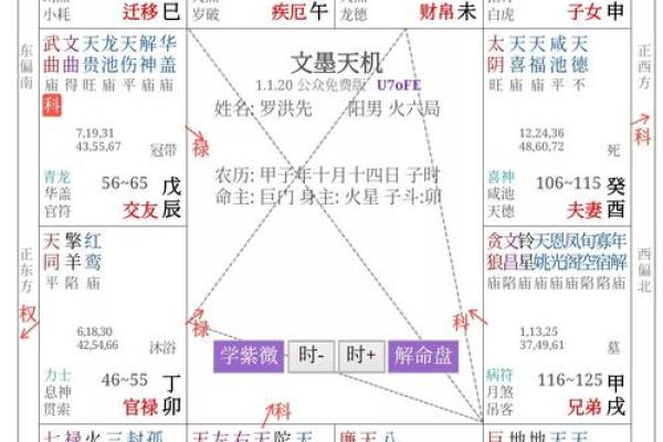 东有小山紫薇斗数7