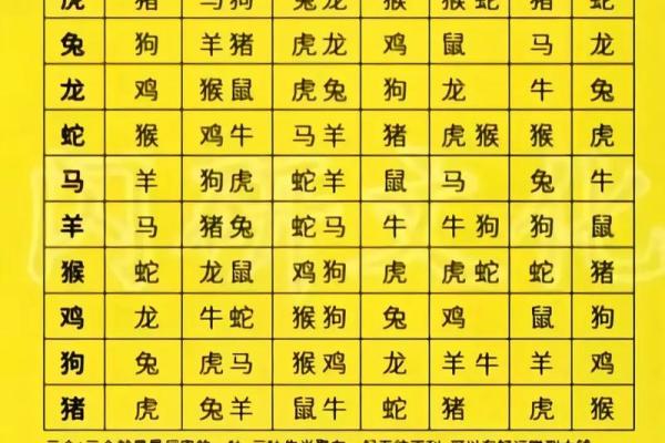 算命术有几个类型的