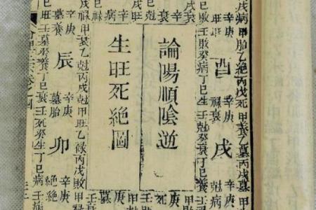 论八字下载