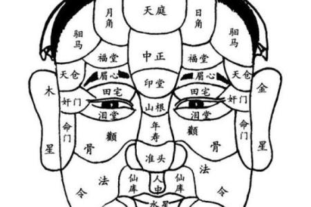 人中看相算命图解大全