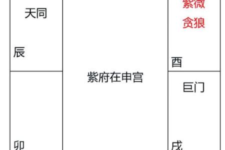 紫微斗数诸星落诸宫之：天同星迁移宫详解