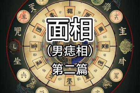 风水算命有什么区别
