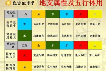 宠物用品店名字-姓名学-华易算命网姓名